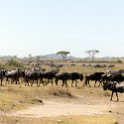 TZA SHI SerengetiNP 2016DEC25 MbalagetiRiver 035 : 2016, 2016 - African Adventures, Africa, Date, December, Eastern, Mbalageti River, Month, Places, Serengeti National Park, Shinyanga, Tanzania, Trips, Year